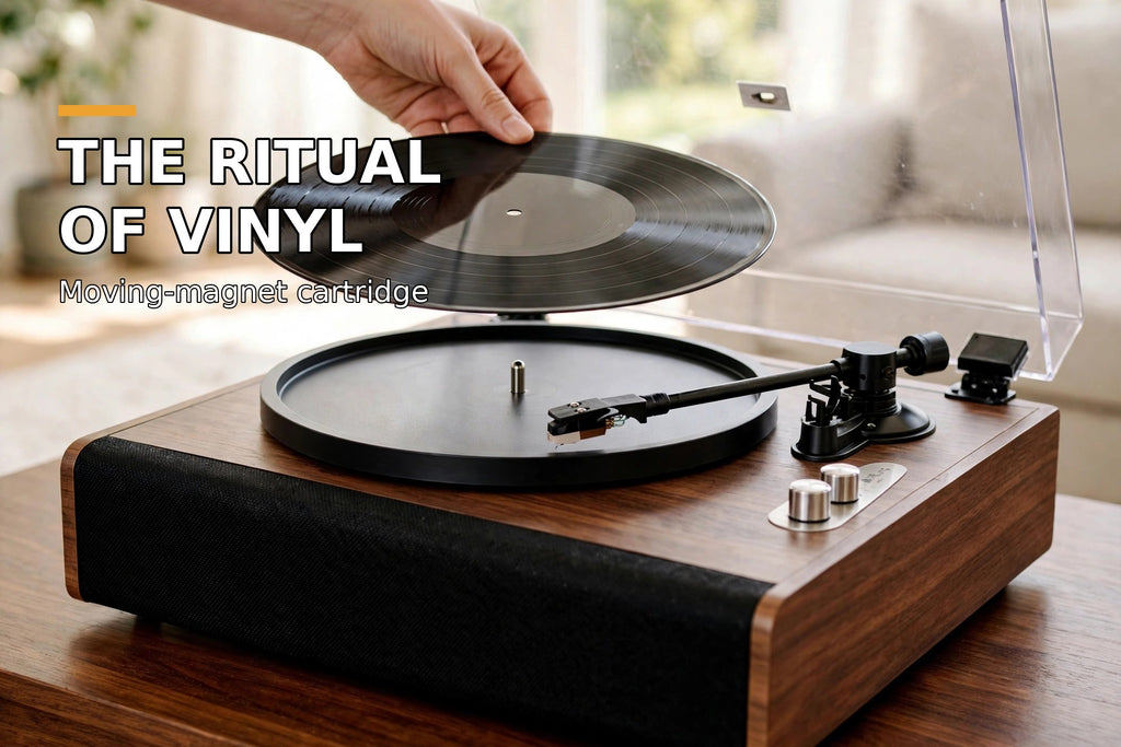 D04 03-scene-vinyl